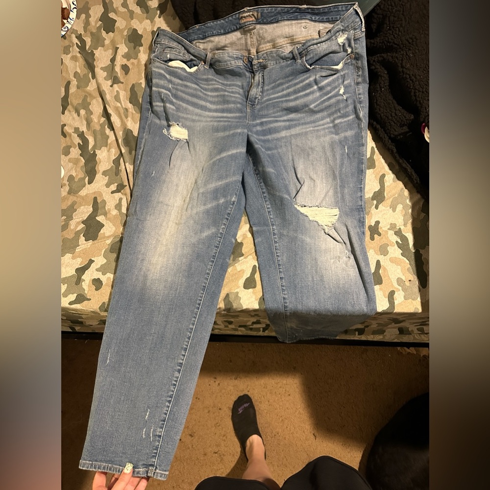 Torrid Jeans
